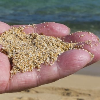 Crozier Beach - "I will show you fear in a handful of dust." - Beaches Near Me - Waialua, Hawaii Crozier Beach - "I will show you fear in a handful of dust." - Beaches Near Me - Waialua, Hawaii