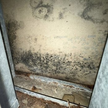 Mold Fighters - Damage Restoration Near Me Mold Fighters - Damage Restoration Near Me