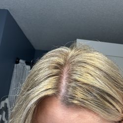Blended Beauty Bar