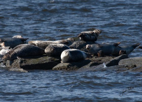 Sandy Hook – Gateway National Recreation Area by null
