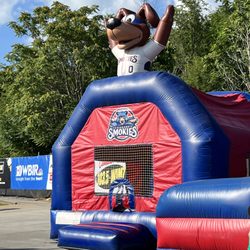 Tennessee Smokies Baseball