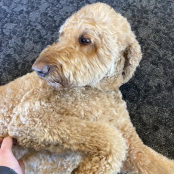 KEN GANLEY TOYOTA AKRON - Updated May 2025 - 37 Photos & 53 Reviews