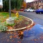 Photo of Perkiomen Woods