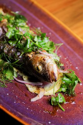 RockCreek Seafood & Spirits by null