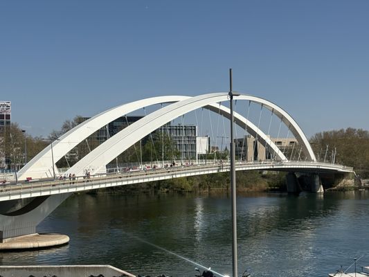 Musée des Confluences by null