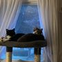 Photo of Keller's Kats Rescue Inc.