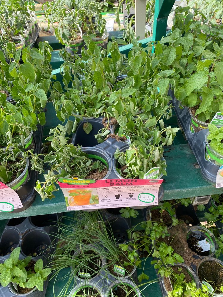 LOWE’S HOME IMPROVEMENT Updated October 2024 54 Photos & 58 Reviews