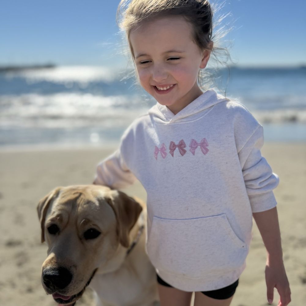 Dog's Delight Training - Well behaved beach boy!! - Pet Training Near Me Dog's Delight Training - Well behaved beach boy!! - Pet Training Near Me