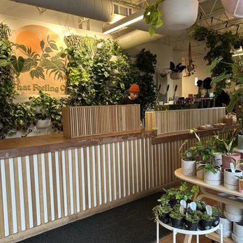 That Feeling - Coffee & Tea Near Me - Anchorage, Alaska That Feeling - Coffee & Tea Near Me - Anchorage, Alaska