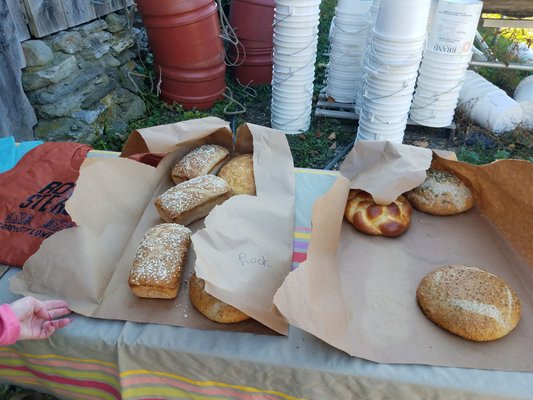 Rock Steady Farm by null