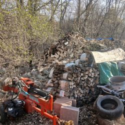 Rockford Tree Specialist - Dried firewood
