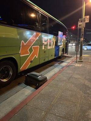 Greyhound Shop by null