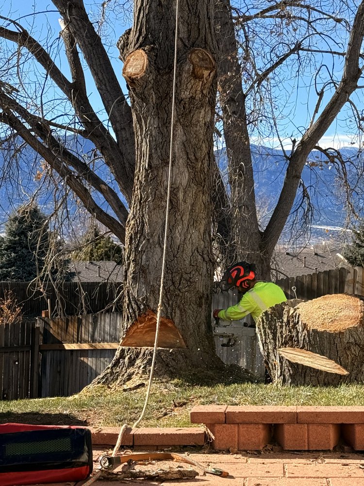Moberly's Tree Service - tree service in Colorado Springs, CO