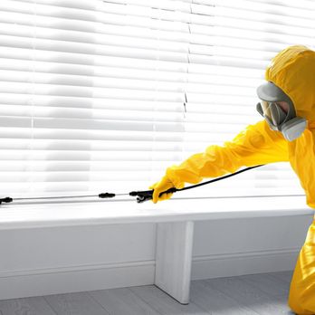 Webenex Services - shutterstock_1664175478.jpg - Pest Control Near Me - Clermont, Florida