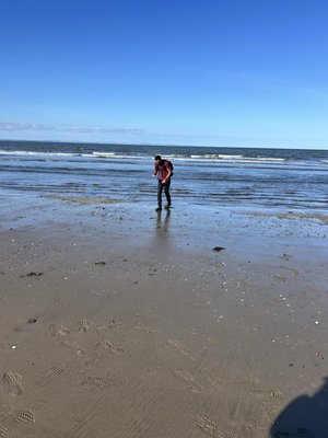 Portobello Beach by null