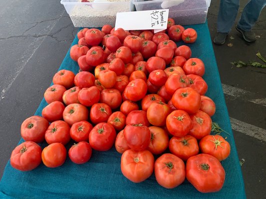 Galleria @ Tyler Farmers Market by null