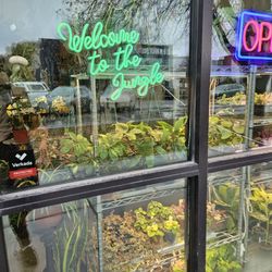 Front of the shop