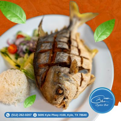 Ocean Blue Oyster Bar Kyle by null