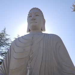 Lieu Quan Meditation Center
