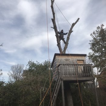 M&M tree services - Tree Services Near Me - Indianapolis, Indiana