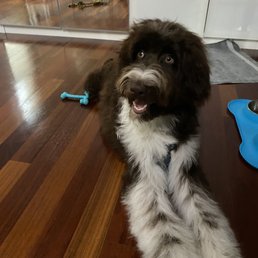 after hair cut after hair cut