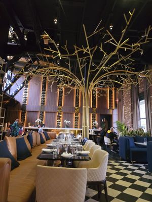 V's Paradise by null