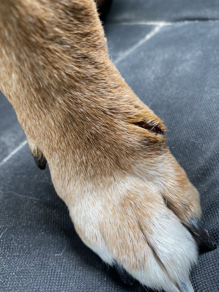 CROSBY VETERINARY CLINIC Updated August 2024 16 Photos & 65 Reviews