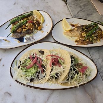 Bacari GDL - Shawarma Tacos with Mushrooms (Vegan) and  Sea Bass - Mediterranean Near Me - Glendale, California