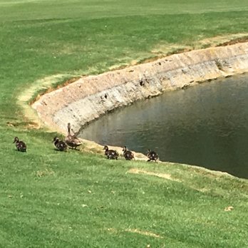 Monarch Beach Golf Links - Golf Near Me - Dana Point, California