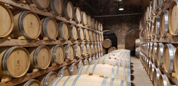 Bodega Ribas by null