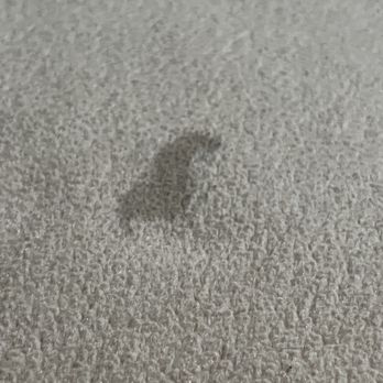 Motel 6 - Sticky and crusty residue on blanket. - Hotels Near Me - Payson, Arizona Motel 6 - Sticky and crusty residue on blanket. - Hotels Near Me - Payson, Arizona