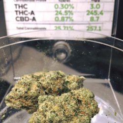 Best Day Ever - Dank nug with high thc rating.