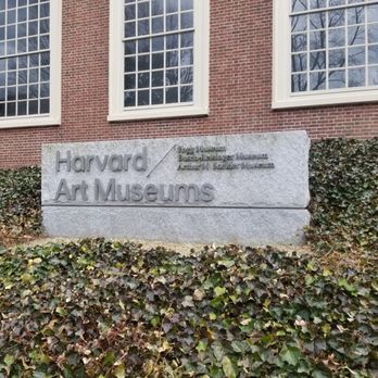 Harvard Art Museums - Art Museums Near Me - Cambridge, Massachusetts