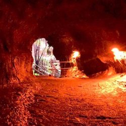 Holoholo Adventure Tours