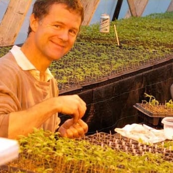 Long Wind Farm - Dave grafting baby plants - Grocery Near Me - East Thetford, Vermont Long Wind Farm - Dave grafting baby plants - Grocery Near Me - East Thetford, Vermont