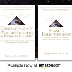 Sherry Mosley, MSOM CSP - My two published books