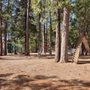 Photo of pioneer Park