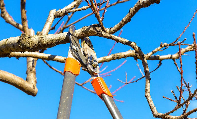 Slide of Hughes Home Repairs And Landscaping