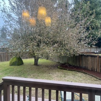 Maci Landscaping Services - After - Landscaping Near Me
