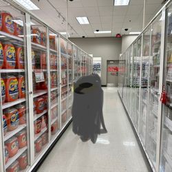 Target - All laundry products are locked up