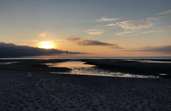 Chapin Memorial Beach by null