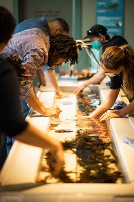 Seymour Marine Discovery Center by null