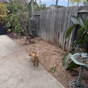 J Rodriguez Tree Care Maintenance - Final result. - Tree Services Near Me J Rodriguez Tree Care Maintenance - Final result. - Tree Services Near Me