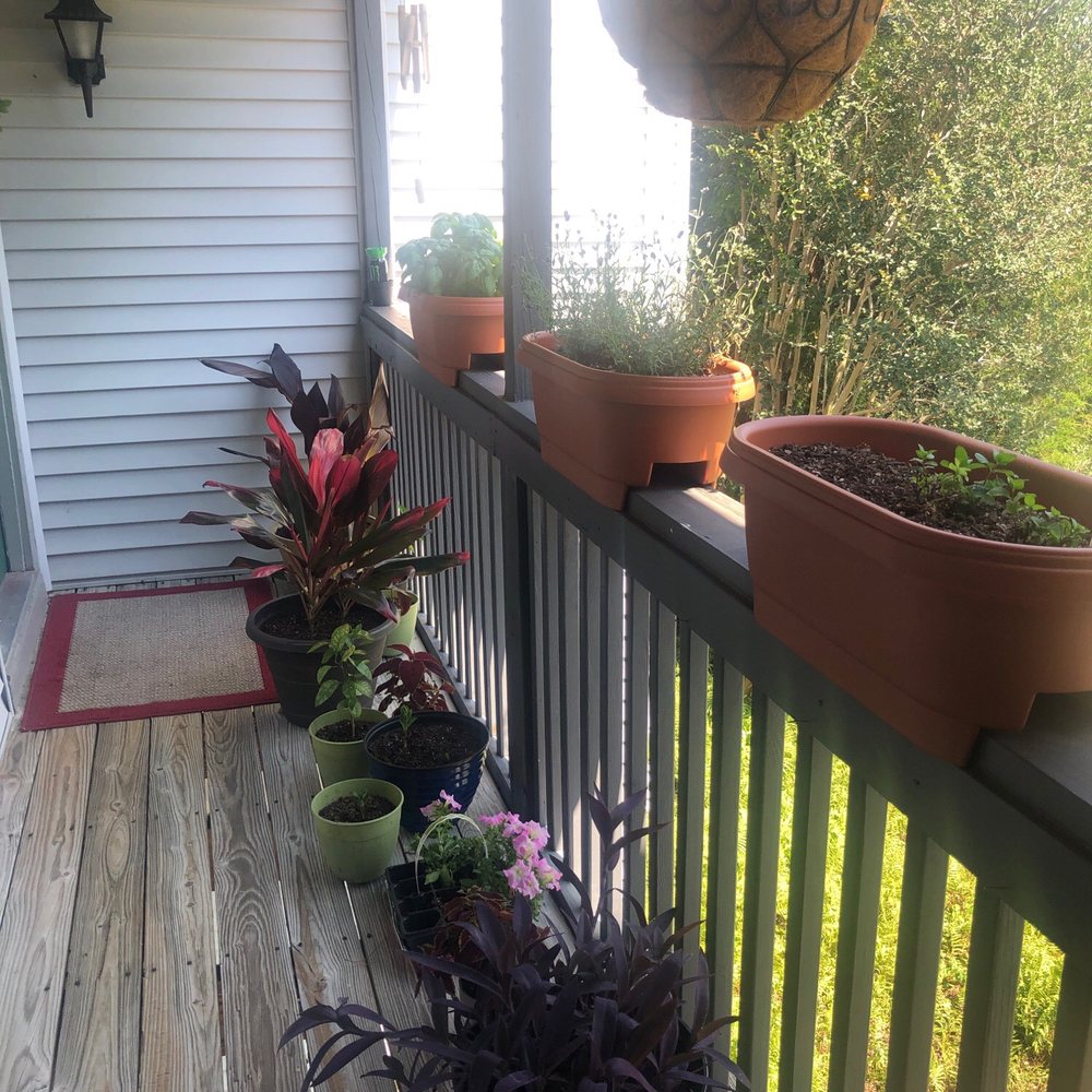 Muscles Kneaded - Plants located at the front entrance. - Massage Therapy Near Me - Charleston, South Carolina