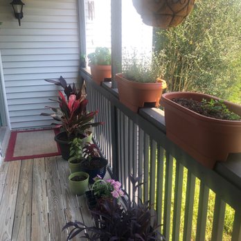 Muscles Kneaded - Plants located at the front entrance. - Massage Therapy Near Me - Charleston, South Carolina Muscles Kneaded - Plants located at the front entrance. - Massage Therapy Near Me - Charleston, South Carolina
