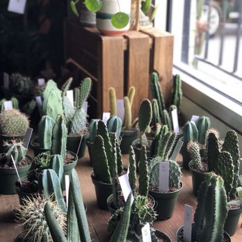 Fancy Free Nursery - Nurseries & Gardening Near Me - Tampa, Florida Fancy Free Nursery - Nurseries & Gardening Near Me - Tampa, Florida