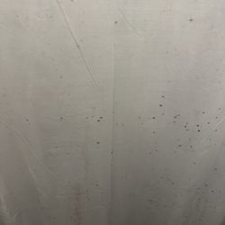 Foley's Fitness Center - Black mold inside the shower curtains
