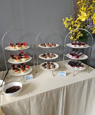 Apothica Teas by null