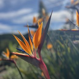 Meditation Mount - Meditation Centers Near Me - Ojai, California