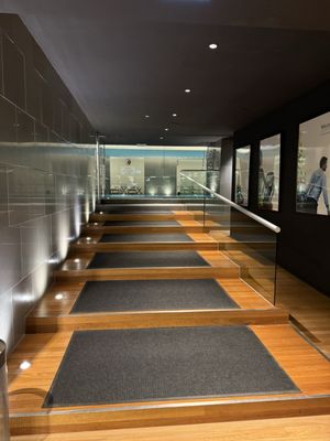 The Westin Melbourne by null